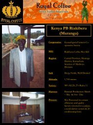 Kenya PB Riakiberu (Muranga) - Royal Coffee, Inc.