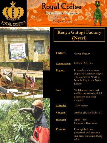 Kenya Gatugi Factory (Nyeri) - Royal Coffee, Inc.