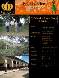 El Salvador Finca Santa Adelaida - Royal Coffee, Inc.