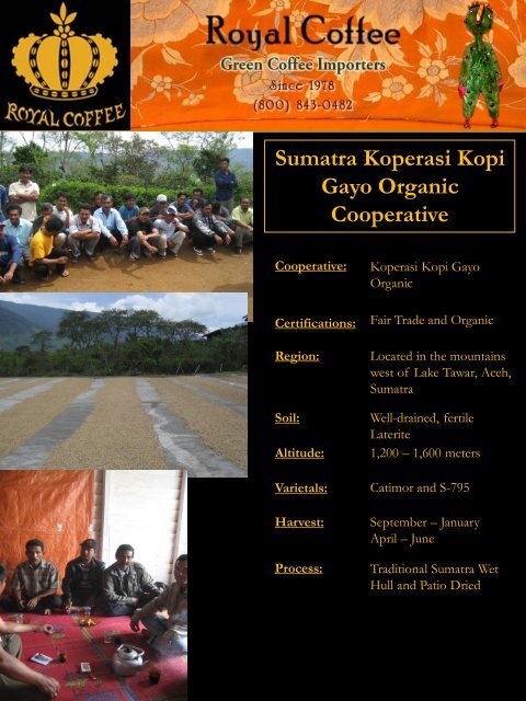 Sumatra Koperasi Kopi Gayo Organic Cooperative - Royal Coffee, Inc.