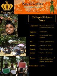 Ethiopia Illubabor Nopa - Royal Coffee, Inc.