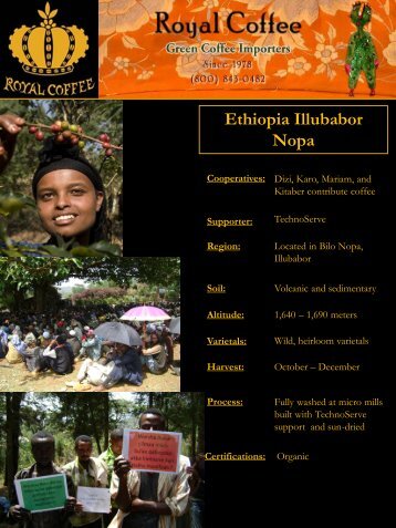 Ethiopia Illubabor Nopa - Royal Coffee, Inc.