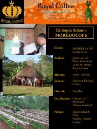 Ethiopia Sidamo MOREDOCOFE - Royal Coffee, Inc.