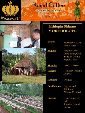 Ethiopia Sidamo MOREDOCOFE - Royal Coffee, Inc.