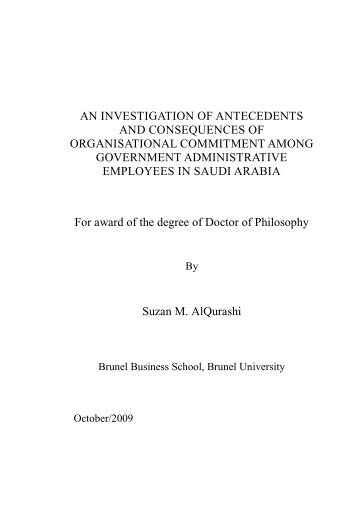 AN INVESTIGATION OF ANTECEDENTS AND ... - Brunel University