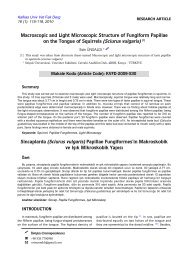 Macroscopic and Light Microscopic Structure of Fungiform Papillae