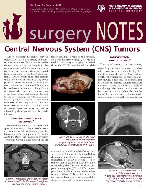 Download Surgery Notes - Summer 2012 - College of Veterinary ... Download Surgery Notes - Summer 2012 - College of Veterinary ...