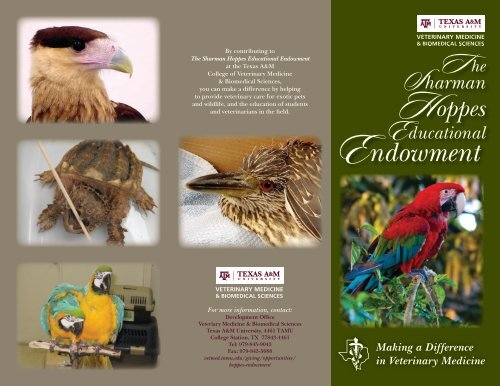 Download a brochure - College of Veterinary Medicine - Texas A&M ...
