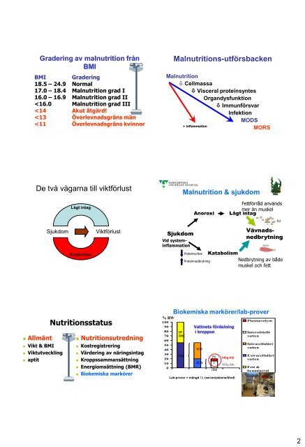 Nutrition TPN Föreläsning.pdf