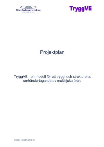 Projektplan - Projekt TryggVE