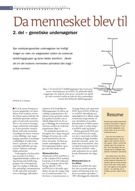 Da mennesket blev til (2.del) - genetiske undersøgelser - Viden (JP)