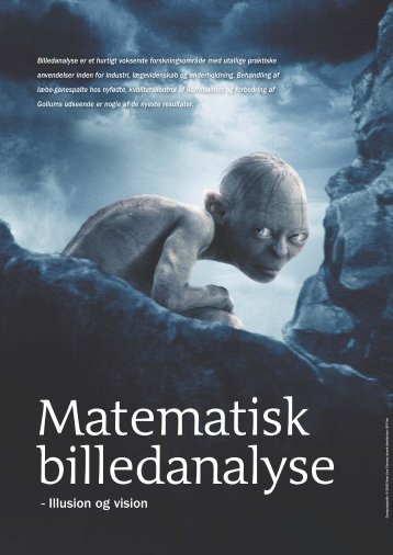 Matematisk billedanalyse - illusion og vision - Viden (JP)