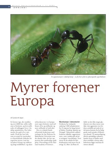 Myrer forener - Viden (JP)