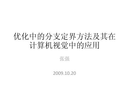 优化中的分支定界方法及其在计算机视觉中的应用