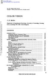 Color Vision - Vision Lab - University of Cambridge