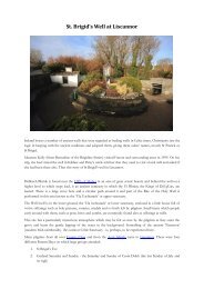 St Brigids Well Co Clare.pdf