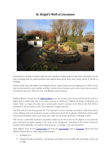 St Brigids Well Co Clare.pdf