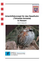 Artenhilfskonzept für das Haselhuhn (Tetrastes bonasia) in Hessen