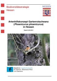 Gartenrotschwanz Stand 06-2013 - Staatliche Vogelschutzwarte für ...