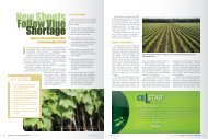 New Shoots Follow Vine Shortage - Vineyard & Winery ...