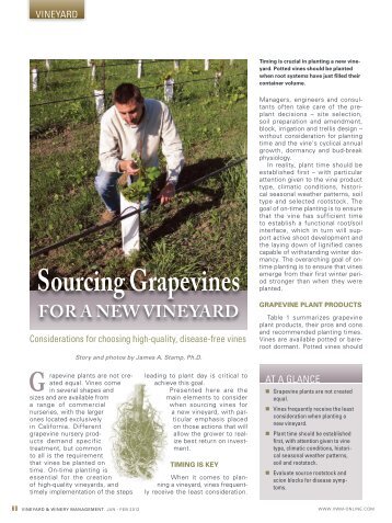 Considerations For Choosing - Vineyard & Winery Management ...