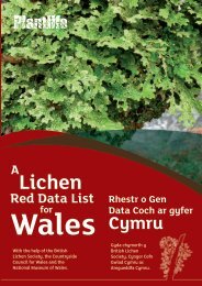 Welsh Lichen Red List - Lichens of Wales