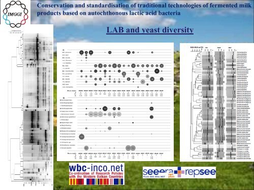 Project title (Full title and Acronym) - WBC-INCO Net