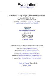 Evaluation of Cluster Policy: A Methodological ... - WBC-INCO Net