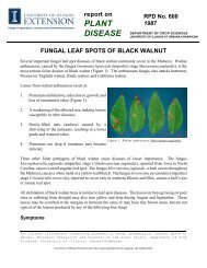 Fungal Leaf Spots of Black Walnut - University of Illinois Extension ...