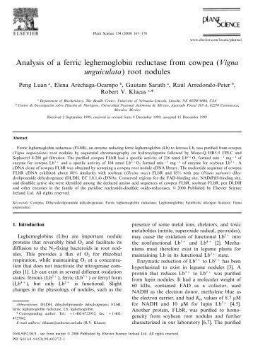 Analysis of a ferric leghemoglobin reductase from cowpea (Vigna ...