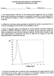 Enero-Junio-2009