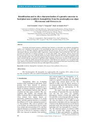 Identification and in silico characterization of a putative - Facultad de ...