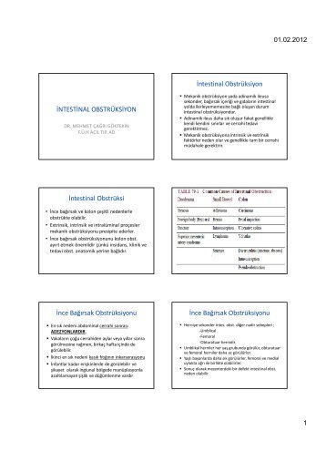 İntestinal Obstrüksiyon