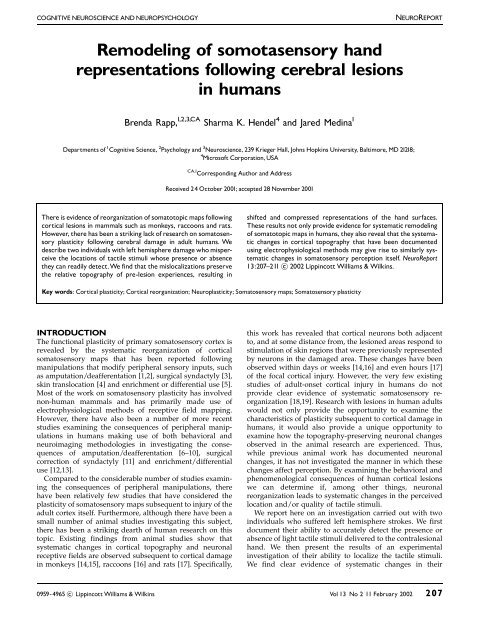 Remodeling of somotasensory hand representations following ...