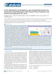 In Situ Mechanistic Investigation at the Liquid/Solid Interface by ...