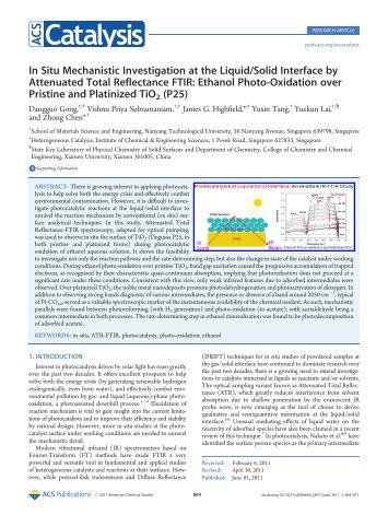 In Situ Mechanistic Investigation at the Liquid/Solid Interface by ...