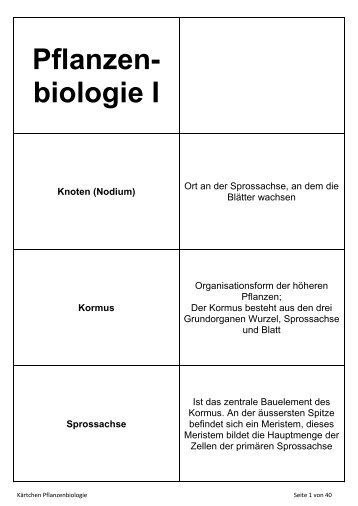 Pflanzen- biologie I