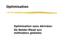 de Nelder-Mead aux algorithmes d'optimisation globale