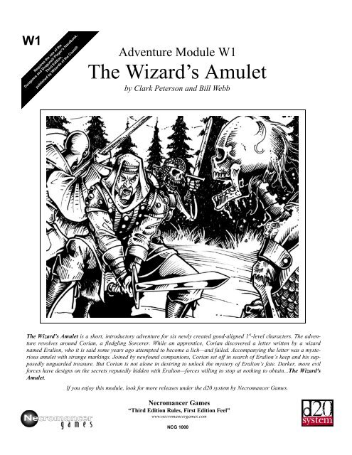 The Wizard's Amulet.pdf