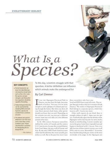 "What is a species?" reading - Biology for Life