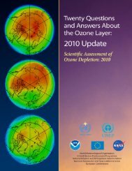 Twenty Questions and Answers About the Ozone Layer - Wesleyan ...