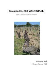 ¡Tempranillo, een werelddruif?!