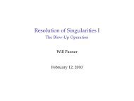 Resolution of Singularities I - The Blow-Up Operation - wiki