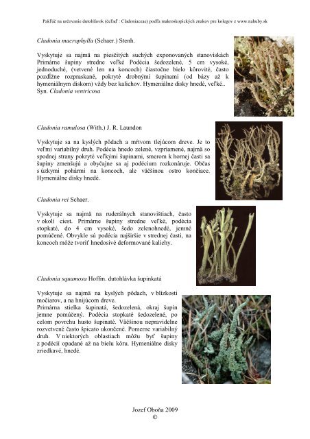 kompletný pakľúč na určovanie dutohlávok (pdf) - Nahuby.sk