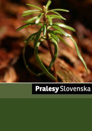 Pralesy Slovenska - wildfoto