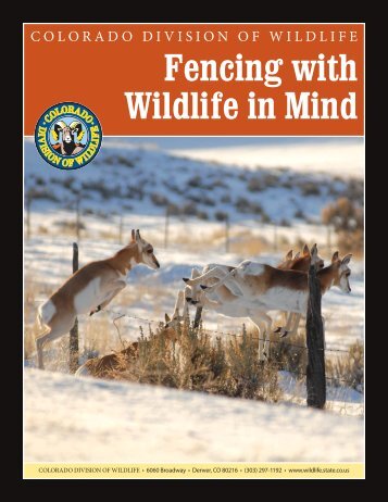 Fencing With Wildlife In Mind brochure - Colorado Division of Wildlife