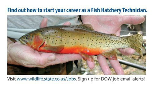 Fish Hatchery Technician Contact Card