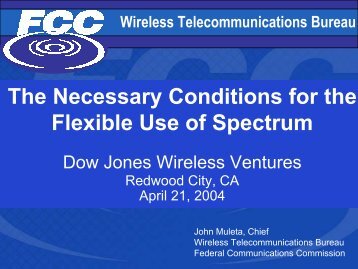 The Necessary Conditions for the Flexible Use of Spectrum