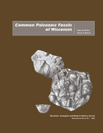 Common Paleozoic fossils of Wisconsin - Wisconsin Geological and ...