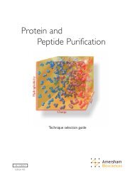 Protein and Peptide Purification - The Wolfson Centre for Applied ...